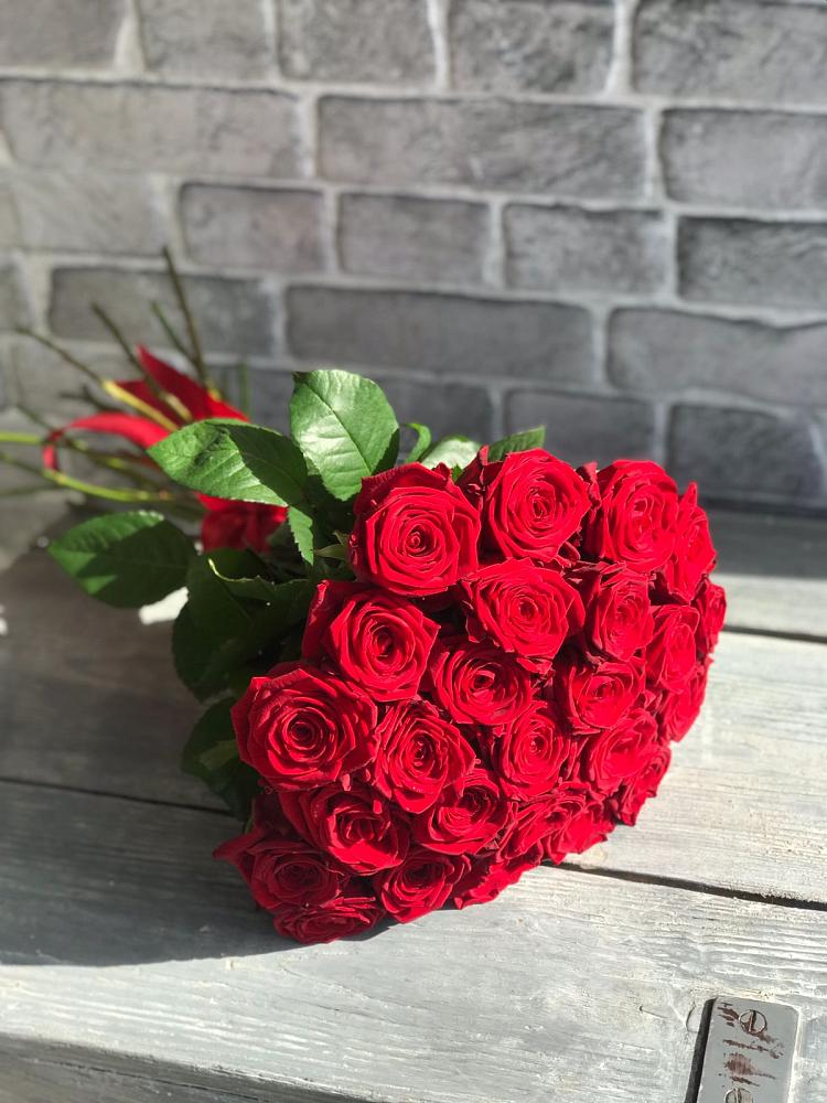 Букет Красные розы Фридом в Спасское Нижегородская область