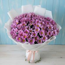 Букет цветов из:  Хризантемы в Спасское Нижегородская область