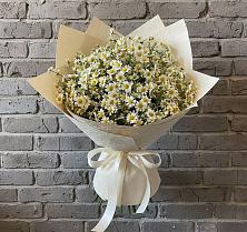 Букет цветов из:  Ромашки #REPLACE_PRED# Спасское Нижегородская область