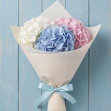 Букет цветов из:  Гортензия в Спасское Нижегородская область