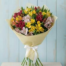 Букет цветов из:  Альстромерии в Спасское Нижегородская область