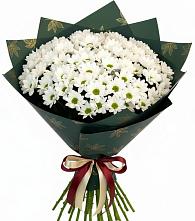 Букет цветов из:  Хризантемы в Спасское Нижегородская область
