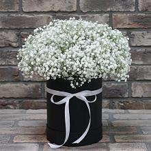 Цветочная композиция из Гипсофила в шляпной коробке #REPLACE_PRED# Спасское Нижегородская область