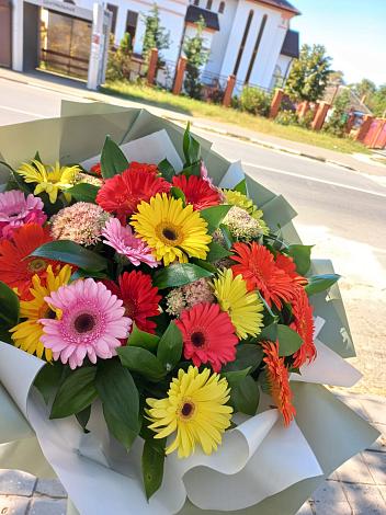 Букет цветов из: Герберы в Спасское Нижегородская область