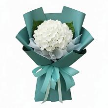 Букет цветов из:  Гортензия #REPLACE_PRED# Спасское Нижегородская область